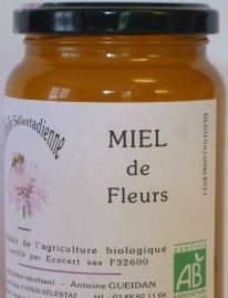 Miel de fleurs (AB)